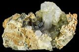 Brookite On Chlorite Quartz Crystals - Baluchistan, Pakistan #111343-2